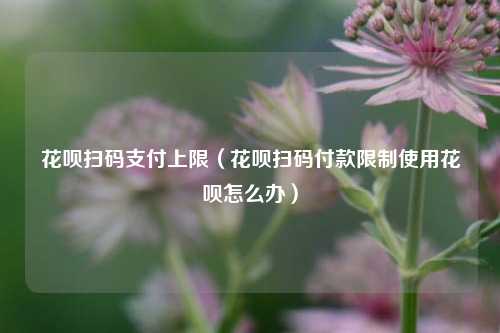 花呗扫码支付上限（花呗扫码付款限制使用花呗怎么办）