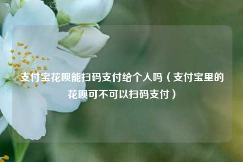 支付宝花呗能扫码支付给个人吗（支付宝里的花呗可不可以扫码支付）