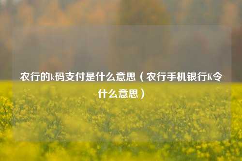 农行的k码支付是什么意思（农行手机银行K令什么意思）