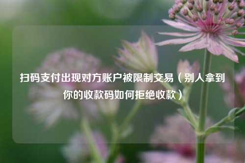 扫码支付出现对方账户被限制交易（别人拿到你的收款码如何拒绝收款）