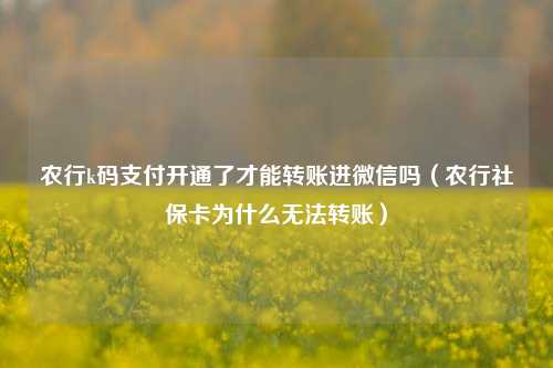 农行k码支付开通了才能转账进微信吗（农行社保卡为什么无法转账）