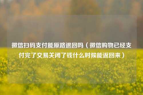 微信扫码支付能原路退回吗（微信购物已经支付完了交易关闭了钱什么时候能返回来）