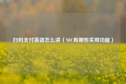 扫码支付英语怎么讲（NFC有哪些实用功能）