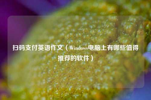 扫码支付英语作文（Windows电脑上有哪些值得推荐的软件）