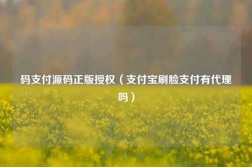 码支付源码正版授权（支付宝刷脸支付有代理吗）