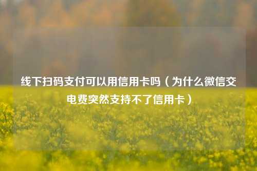 线下扫码支付可以用信用卡吗（为什么微信交电费突然支持不了信用卡）