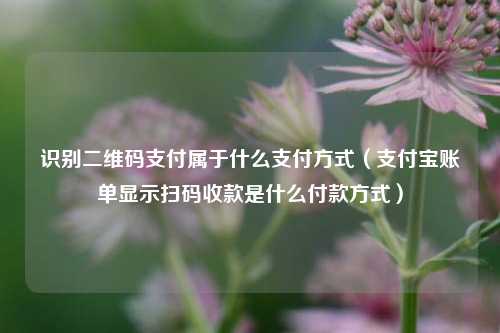 识别二维码支付属于什么支付方式（支付宝账单显示扫码收款是什么付款方式）