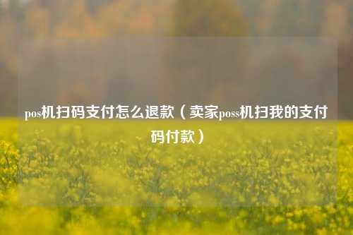 pos机扫码支付怎么退款（卖家poss机扫我的支付码付款）