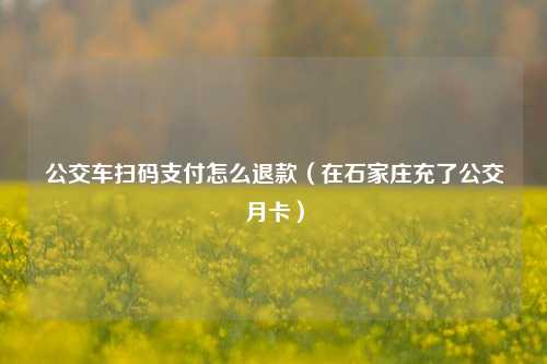 公交车扫码支付怎么退款（在石家庄充了公交月卡）