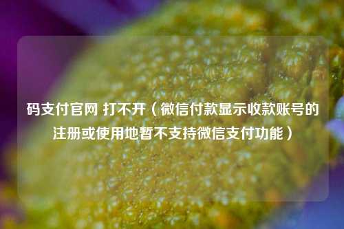 码支付官网 打不开（微信付款显示收款账号的注册或使用地暂不支持微信支付功能）