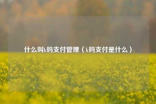 什么叫k码支付管理（k码支付是什么）