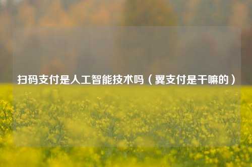 扫码支付是人工智能技术吗（翼支付是干嘛的）