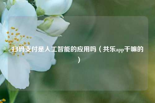 扫码支付是人工智能的应用吗（共乐app干嘛的）