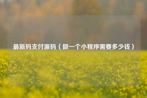 最新码支付源码（做一个小程序需要多少钱）