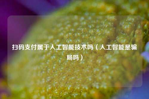 扫码支付属于人工智能技术吗（人工智能是骗局吗）