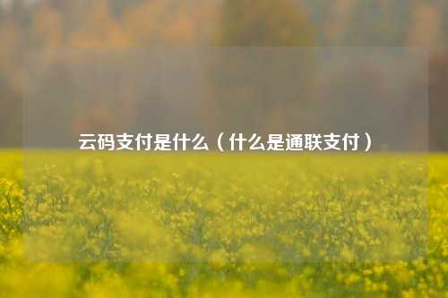 云码支付是什么（什么是通联支付）