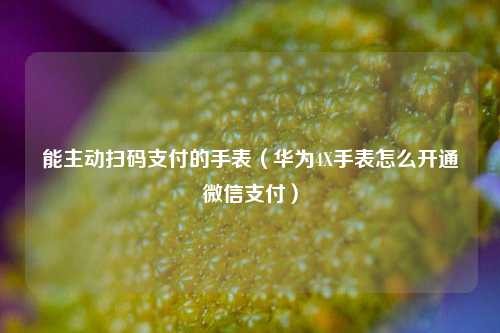 能主动扫码支付的手表（华为4X手表怎么开通微信支付）