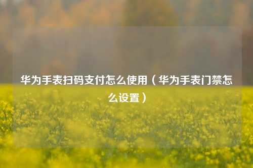 华为手表扫码支付怎么使用（华为手表门禁怎么设置）