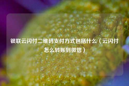 银联云闪付二维码支付方式包括什么（云闪付怎么转账到微信）