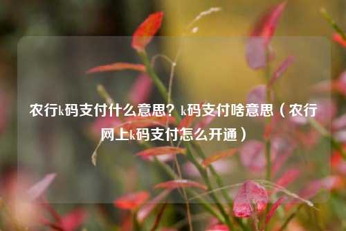 农行k码支付什么意思？k码支付啥意思（农行网上k码支付怎么开通）