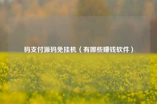 码支付源码免挂机（有哪些赚钱软件）