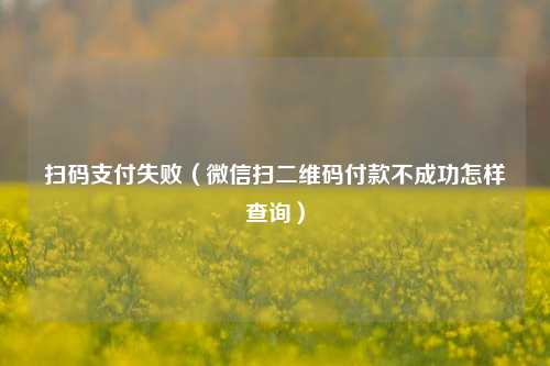 扫码支付失败（微信扫二维码付款不成功怎样查询）